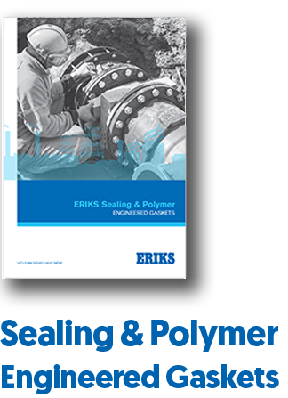Sealing and Polymer Engineered Gaskets engineered gaskets from ERIKS Brochure