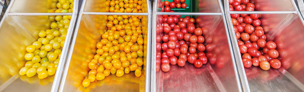 Food industry image consisting of different gradient colours of tomatoes, yum.