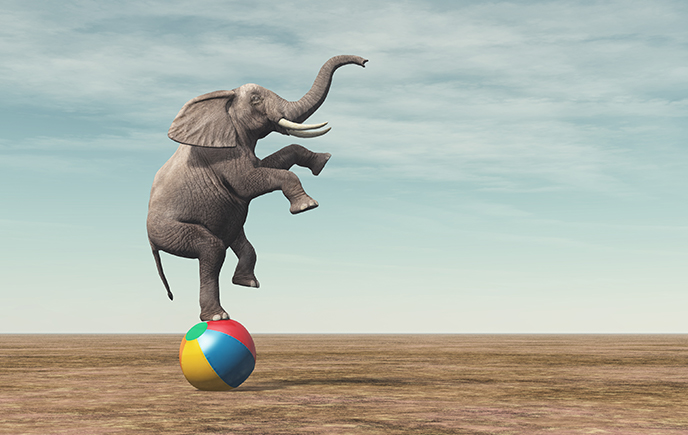 Elephant balancing on a multi coloured ball