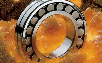 Bearing and Lubrication