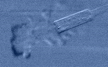 Gas Leak Image