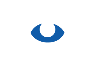 Inspection and report icon